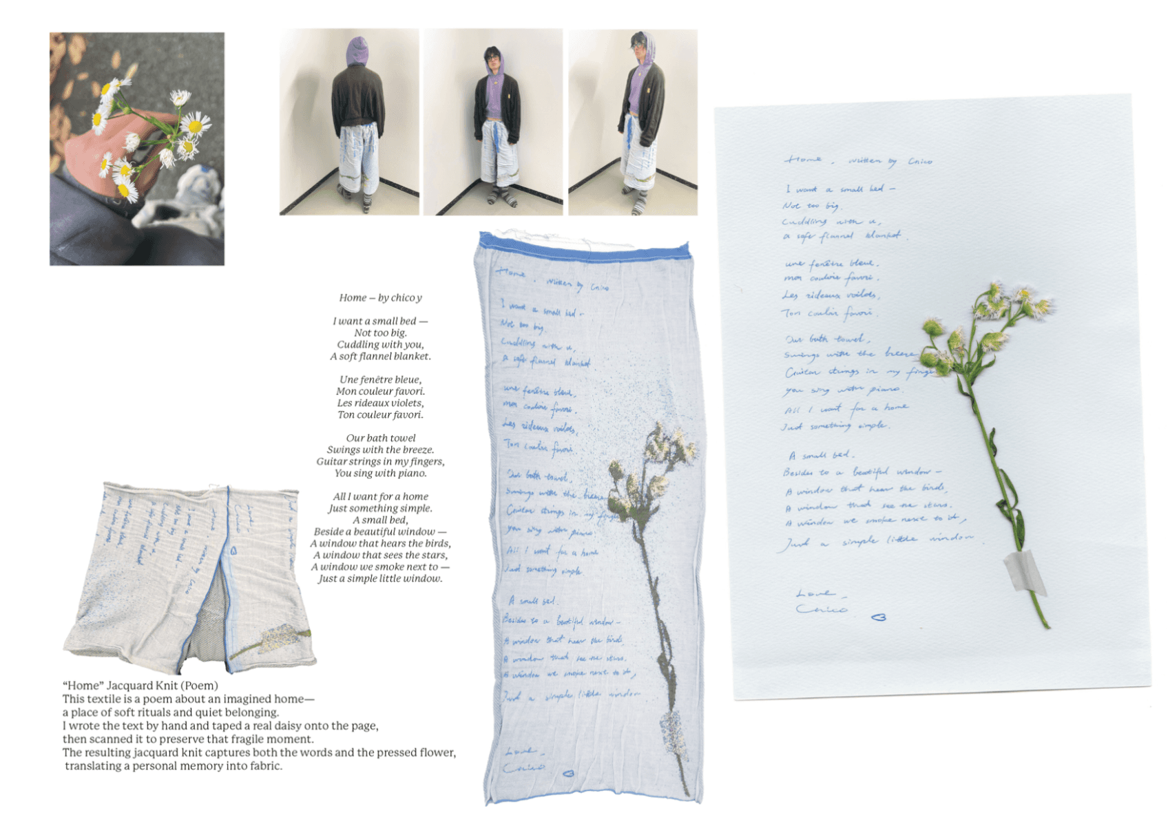 Fino alla nona vita, portfolio item 12