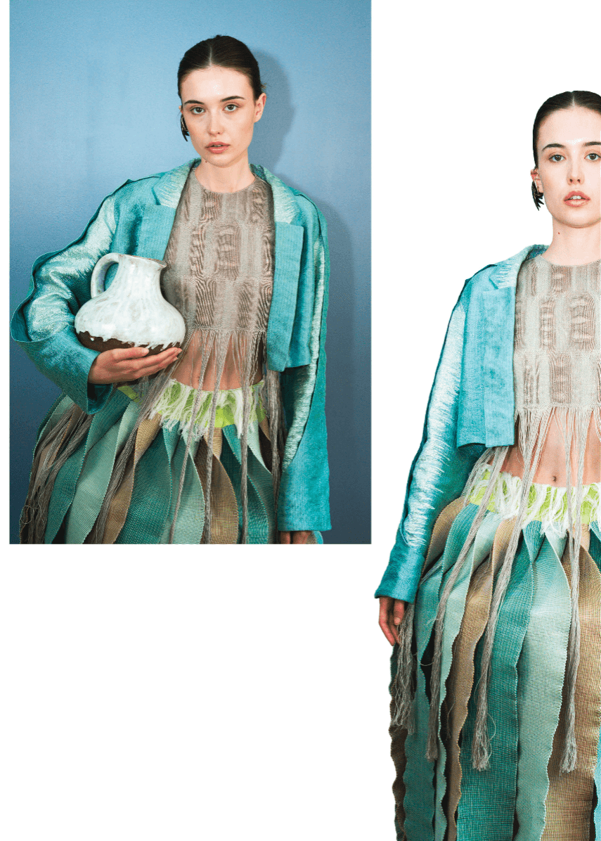 CORNARO, portfolio item 2