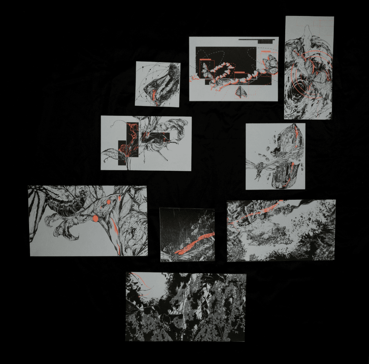 Written in their Wings, portfolio item 1