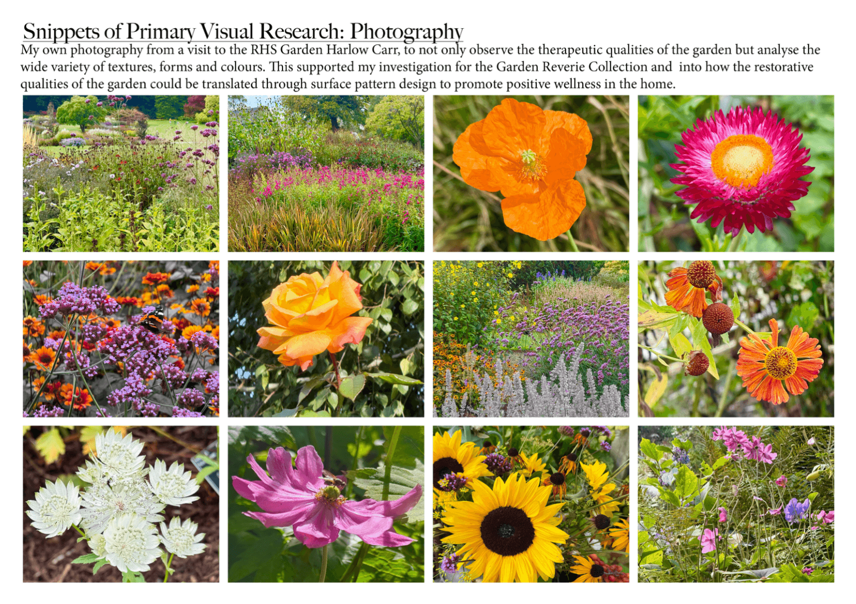 The tale of two gardens, portfolio item 4