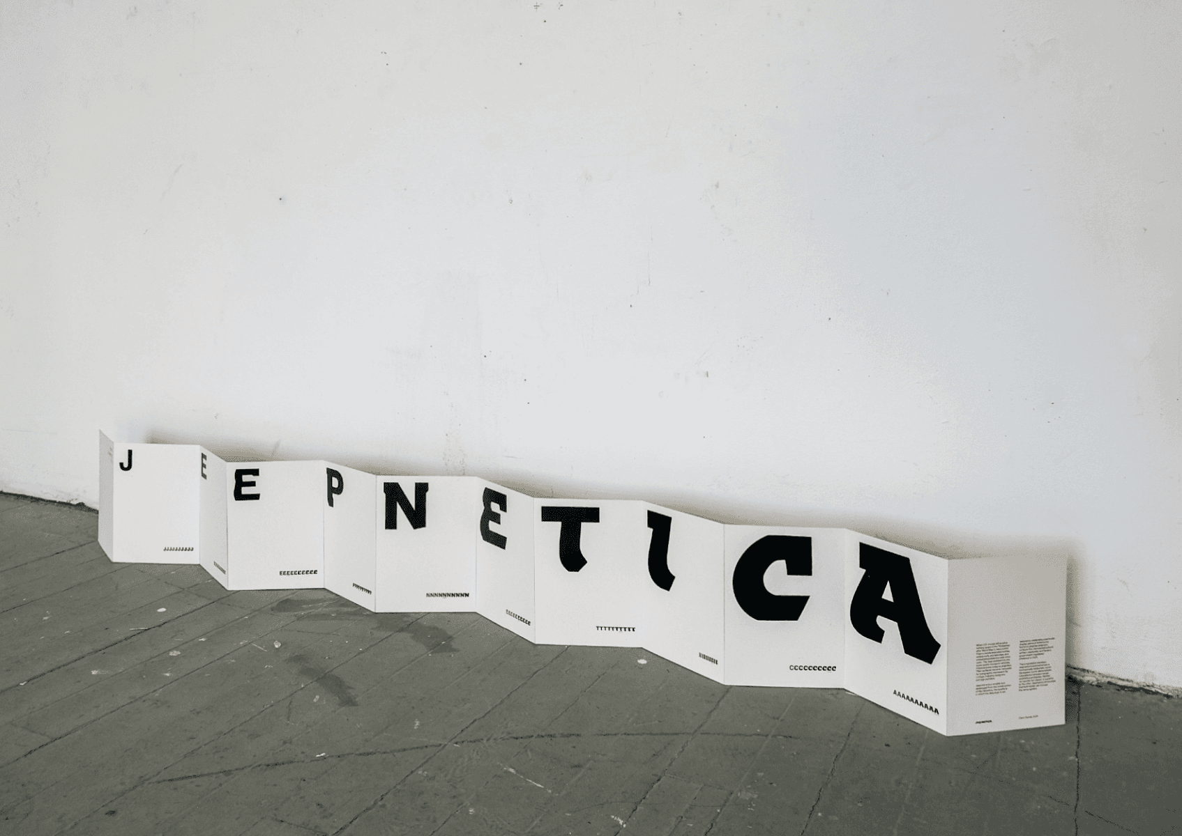 Jeepnetica, portfolio item 1