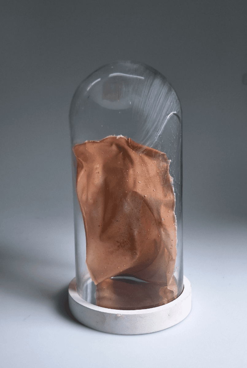 Final major project: Nuts, portfolio item 1