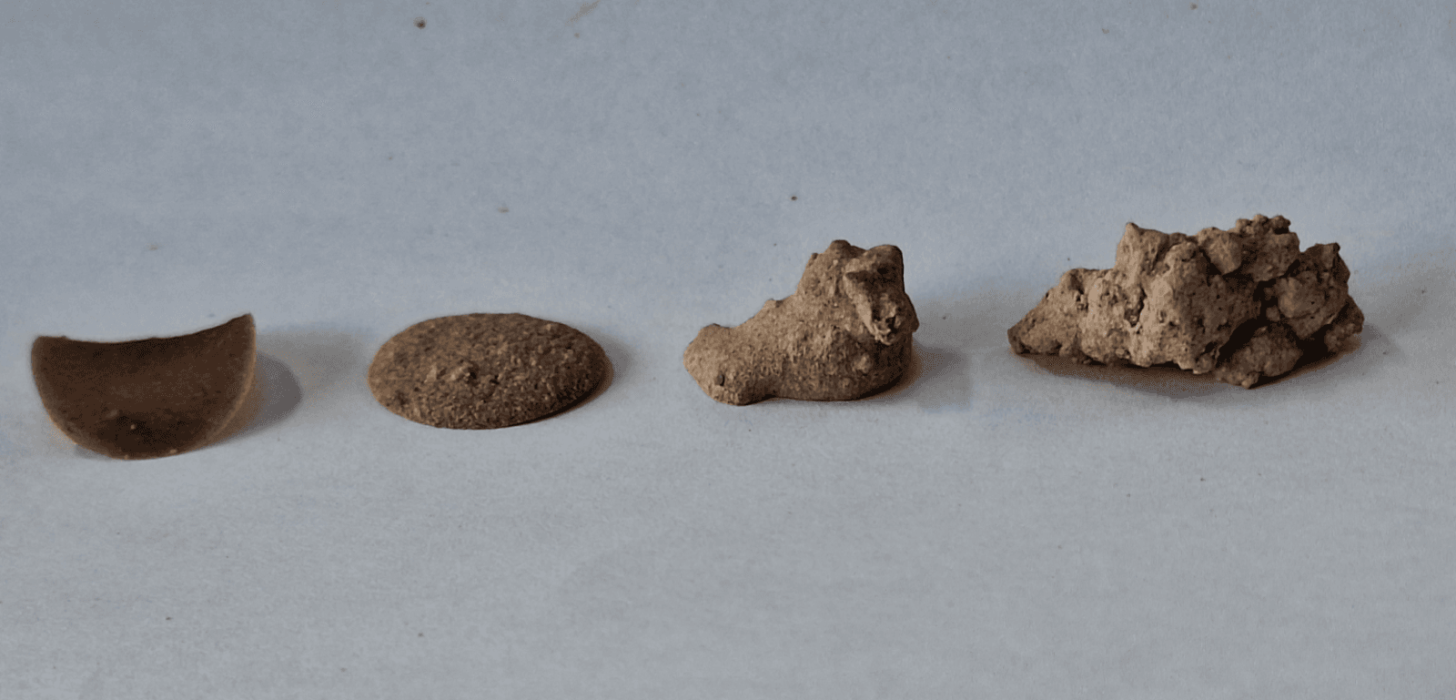 Final major project: Nuts, portfolio item 15