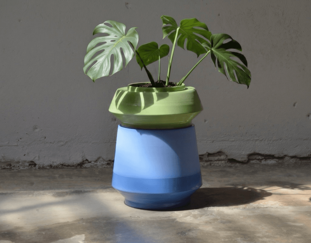 Doomo, portfolio item 8