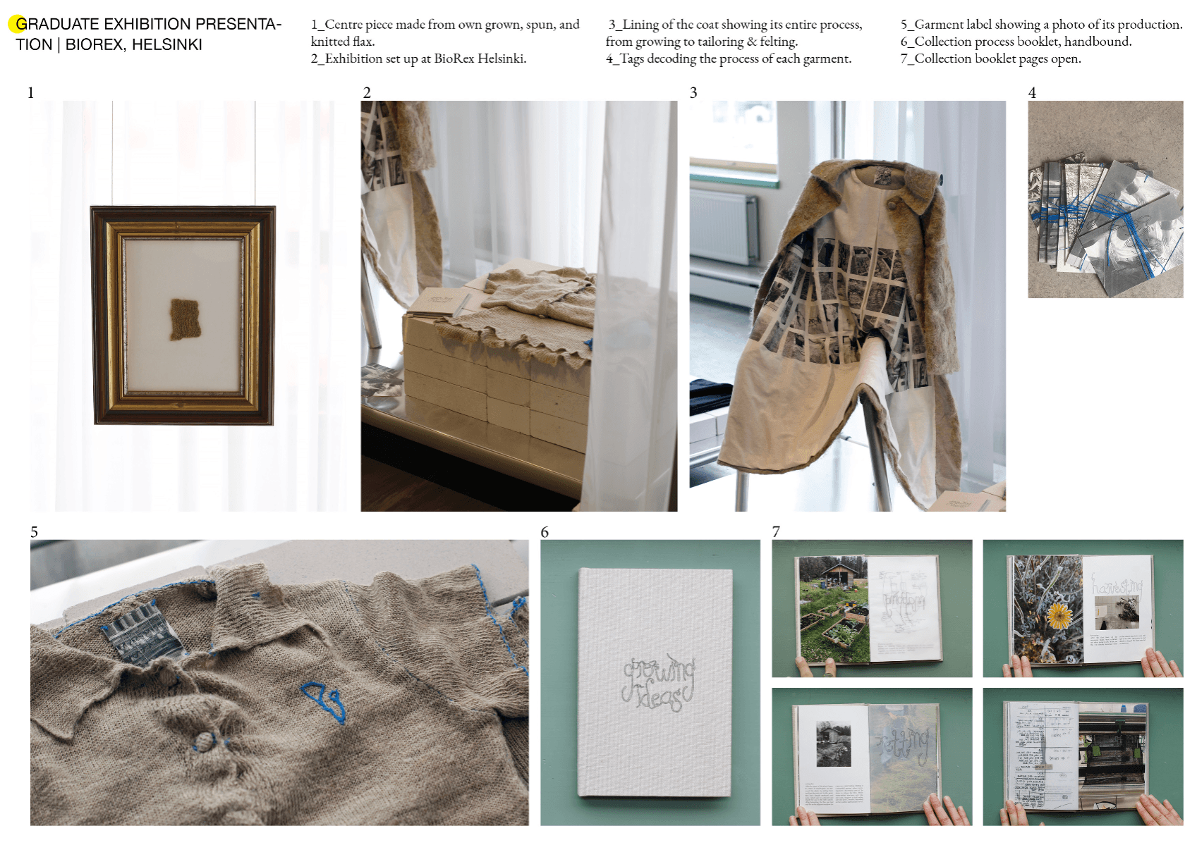 GROWING IDEAS, portfolio item 18