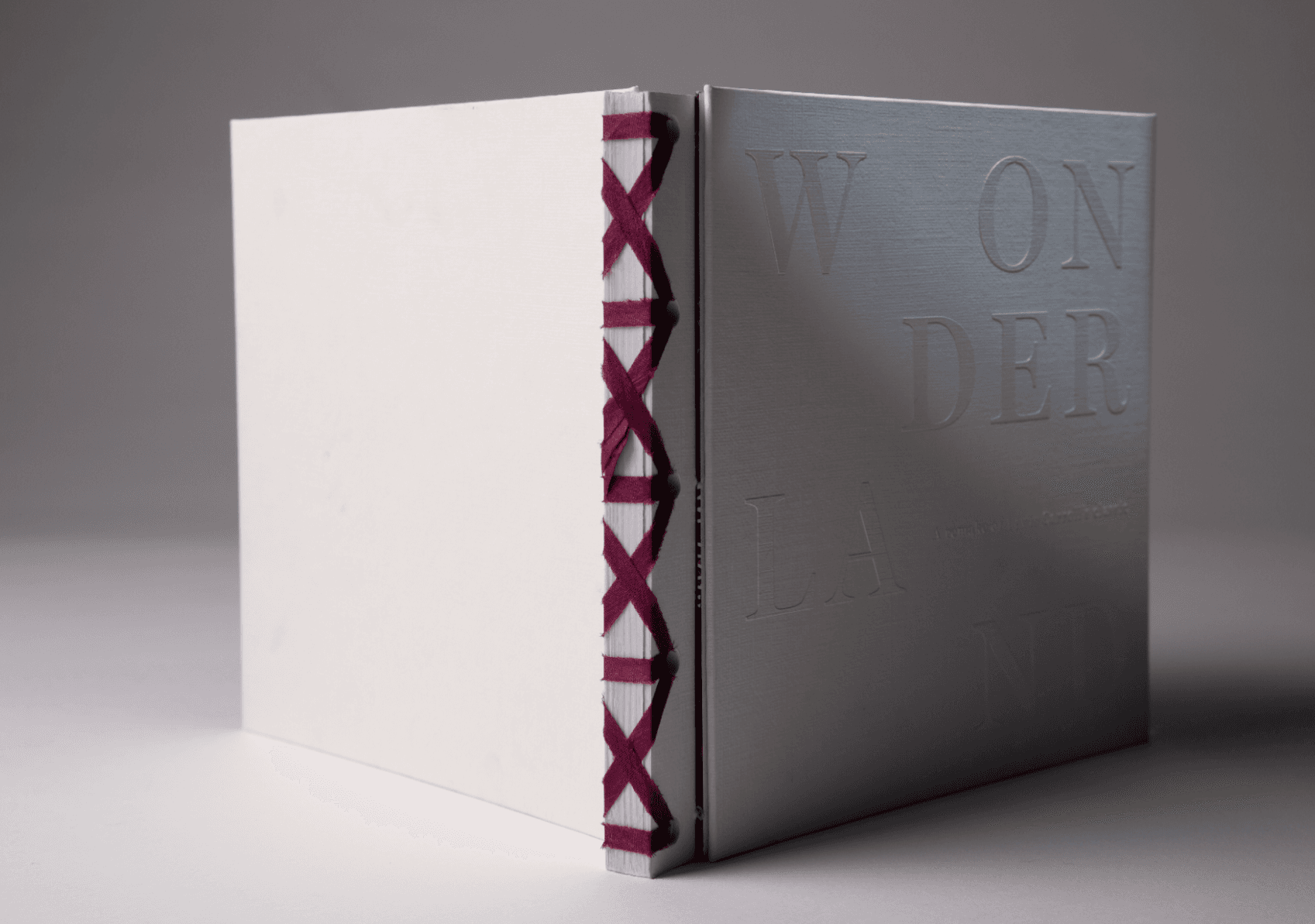 Alice’s Adventures in Wonderland: A Modern Reinterpretation, portfolio item 2