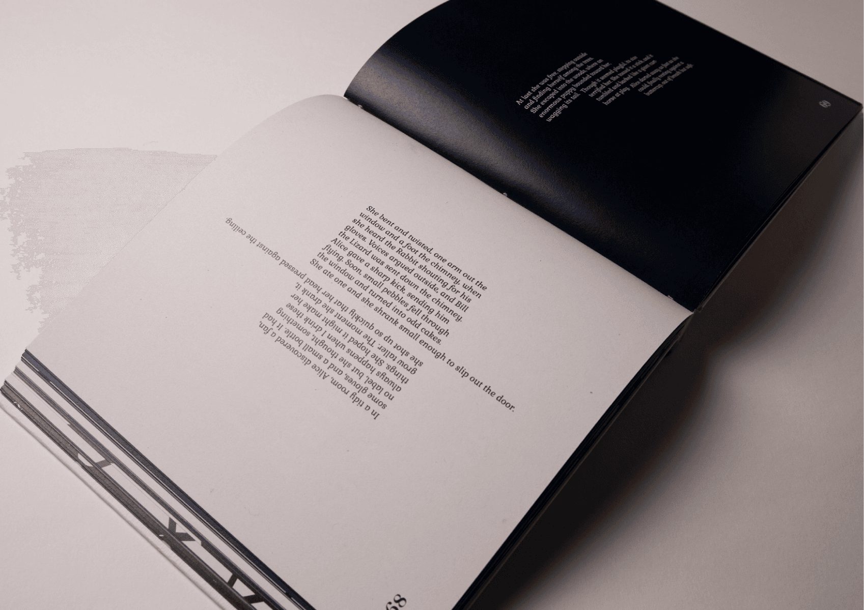 Alice’s Adventures in Wonderland: A Modern Reinterpretation, portfolio item 16