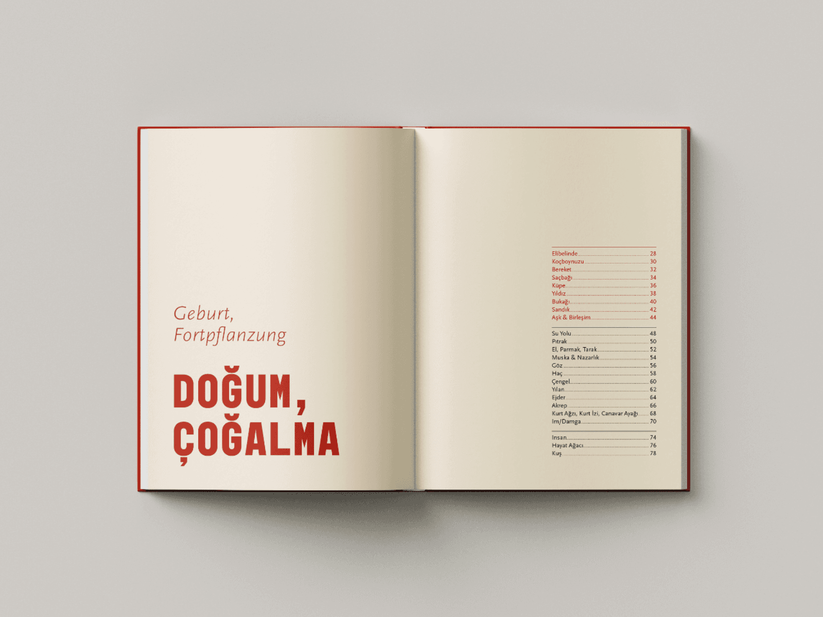 Çözgü & Atkı: Anatolian Symbolism & Turkish Mythology, portfolio item 5