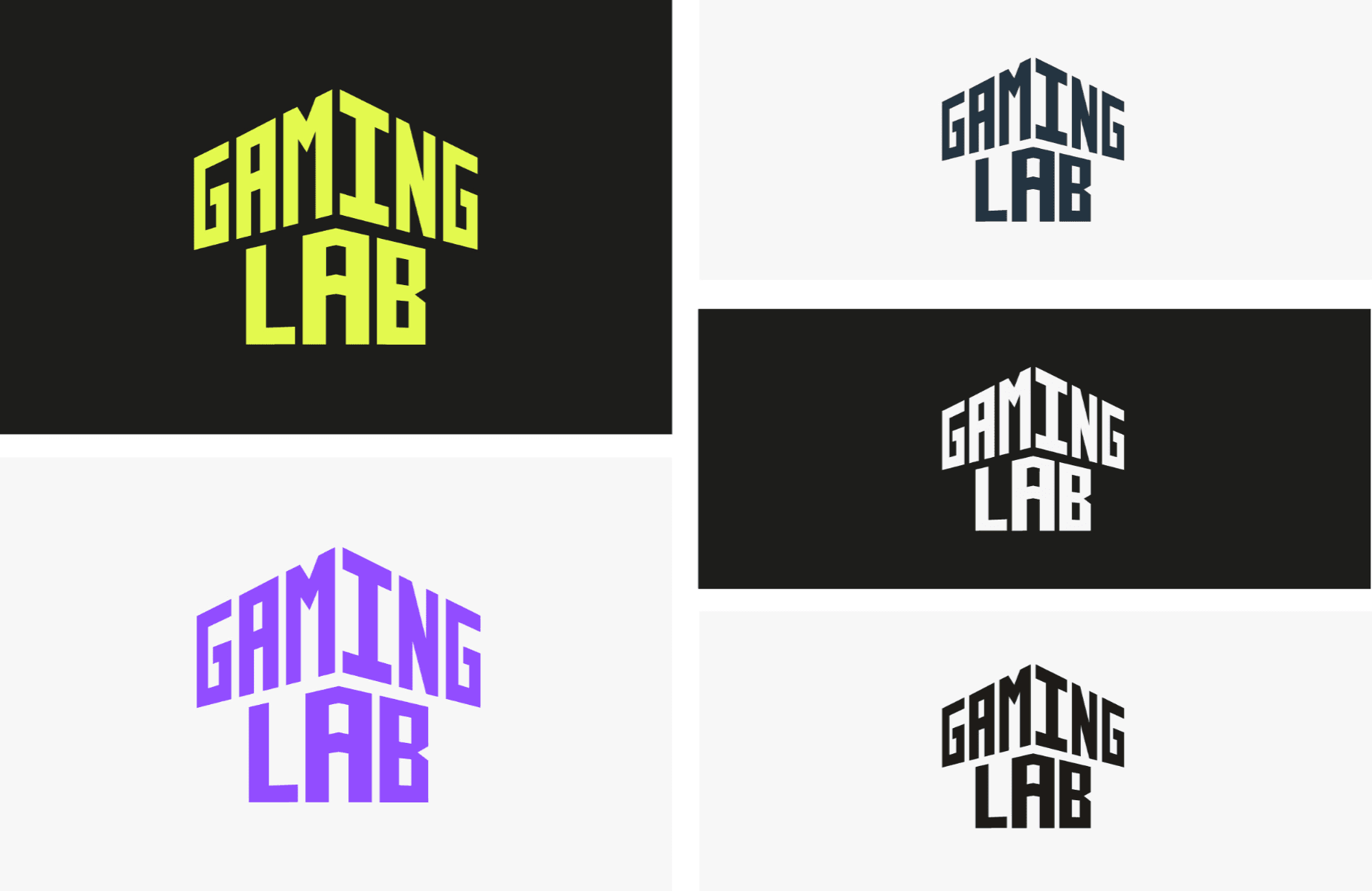 LCCA GAMING LAB SUb-brand, portfolio item 2