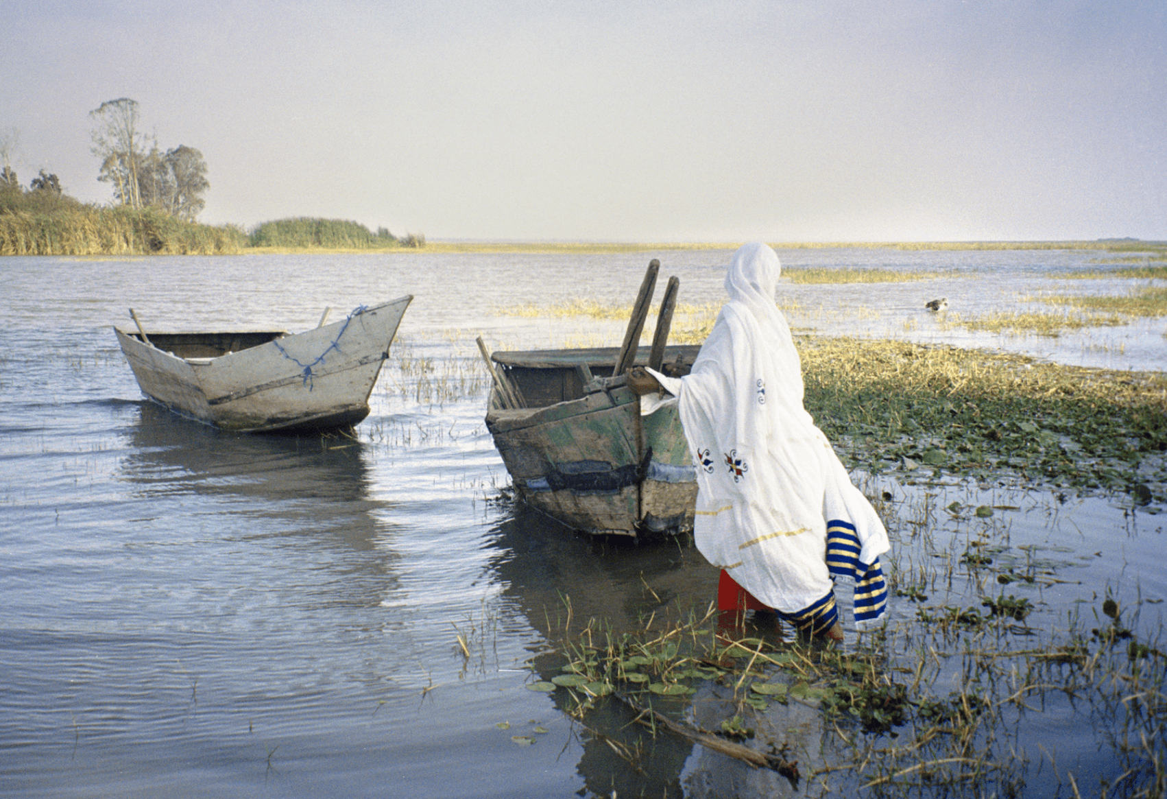 እሺ እሺ Eshi Eshi, portfolio item 4