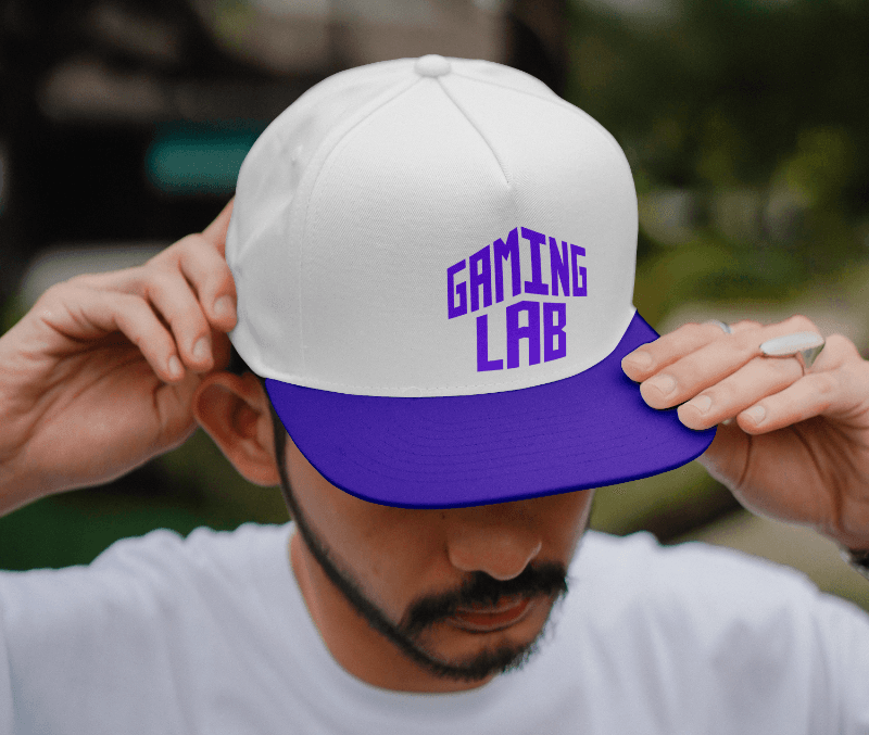 LCCA GAMING LAB SUb-brand, portfolio item 15