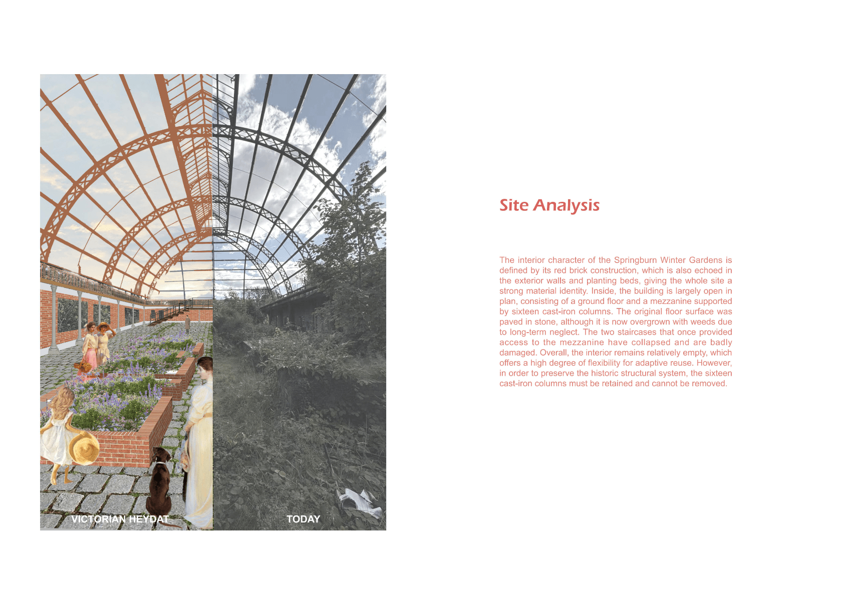 Springburn Bird Conservation Centre, portfolio item 9