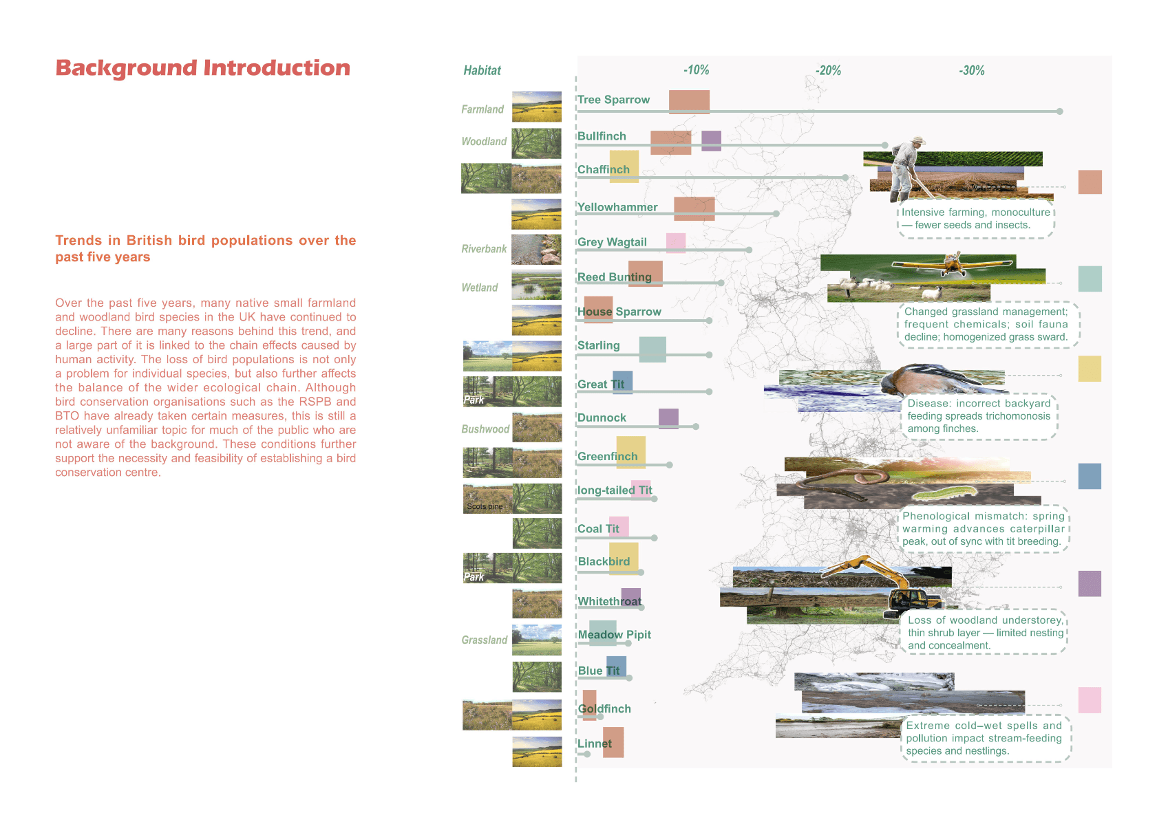 Springburn Bird Conservation Centre, portfolio item 12