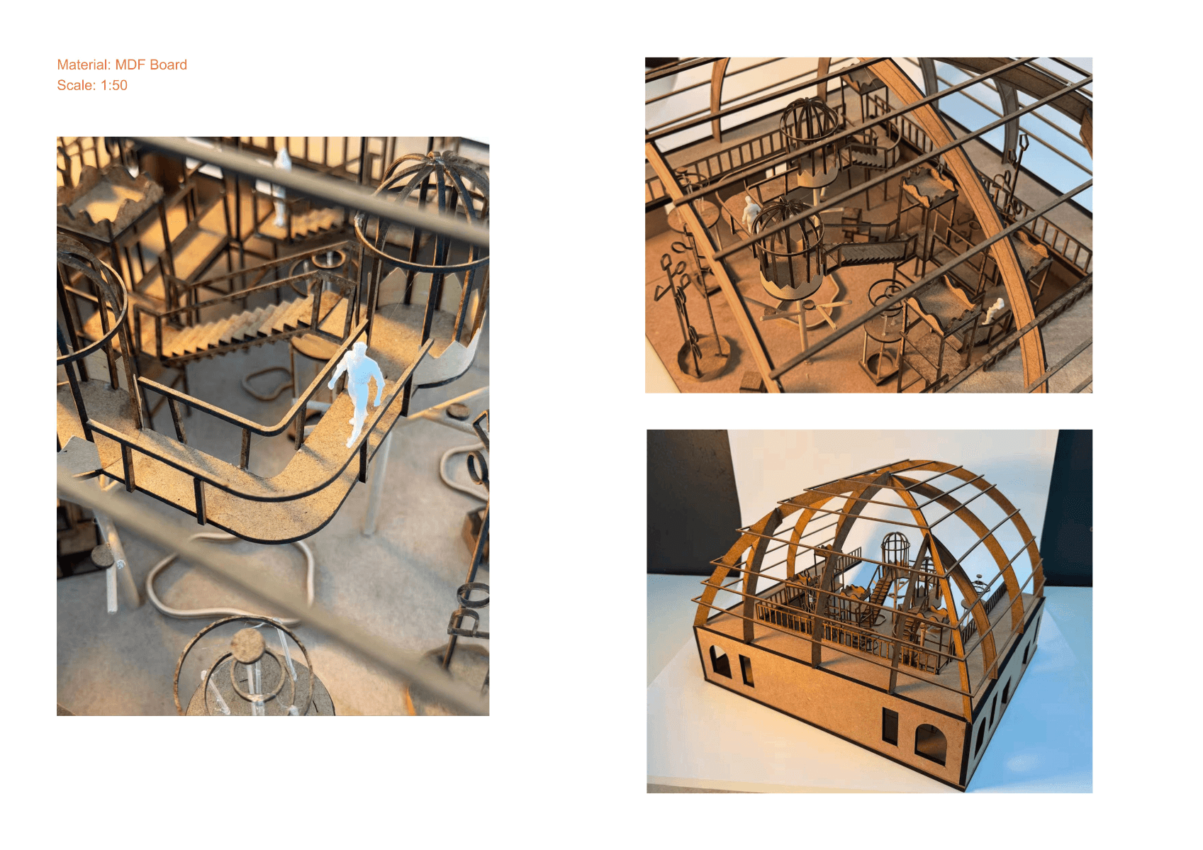 Springburn Bird Conservation Centre, portfolio item 52