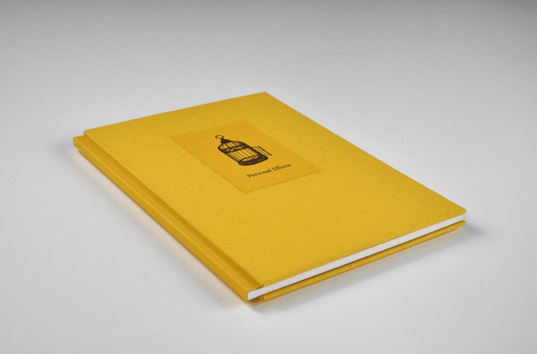 The Cardinal, portfolio item 3