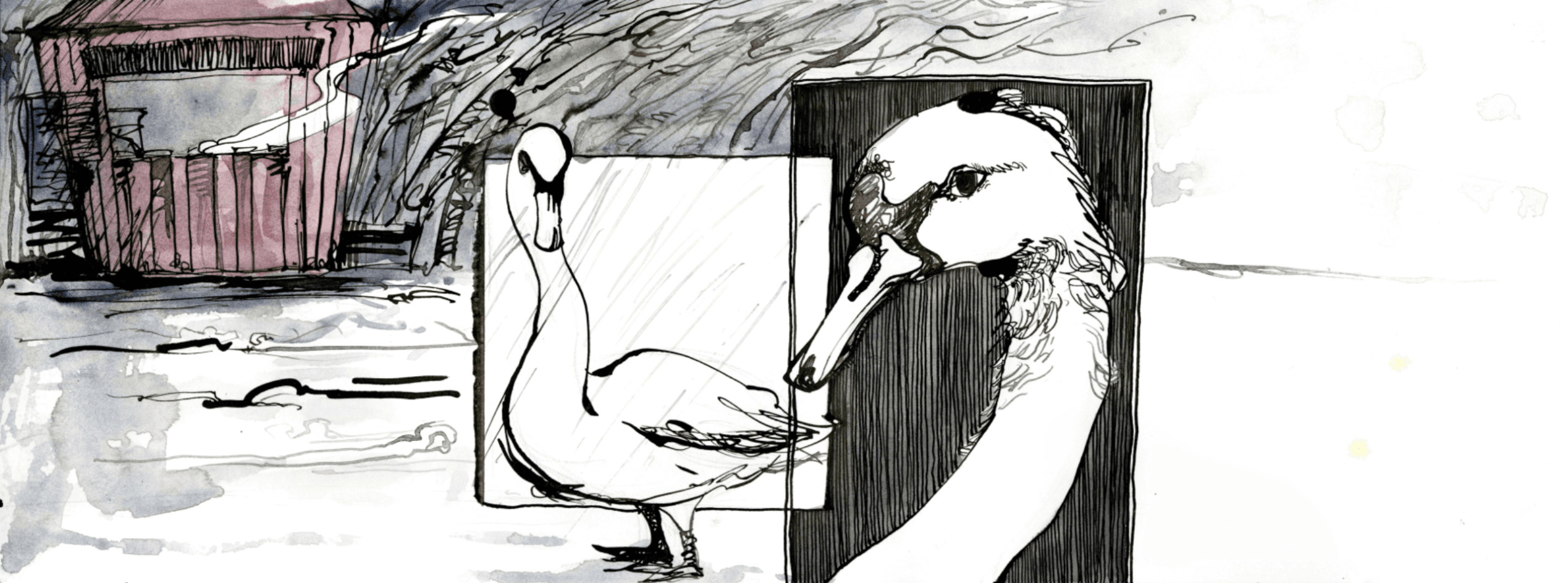 Swan Lake, portfolio item 2