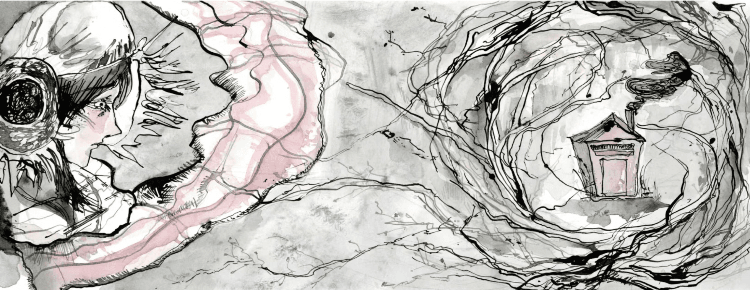 Swan Lake, portfolio item 3