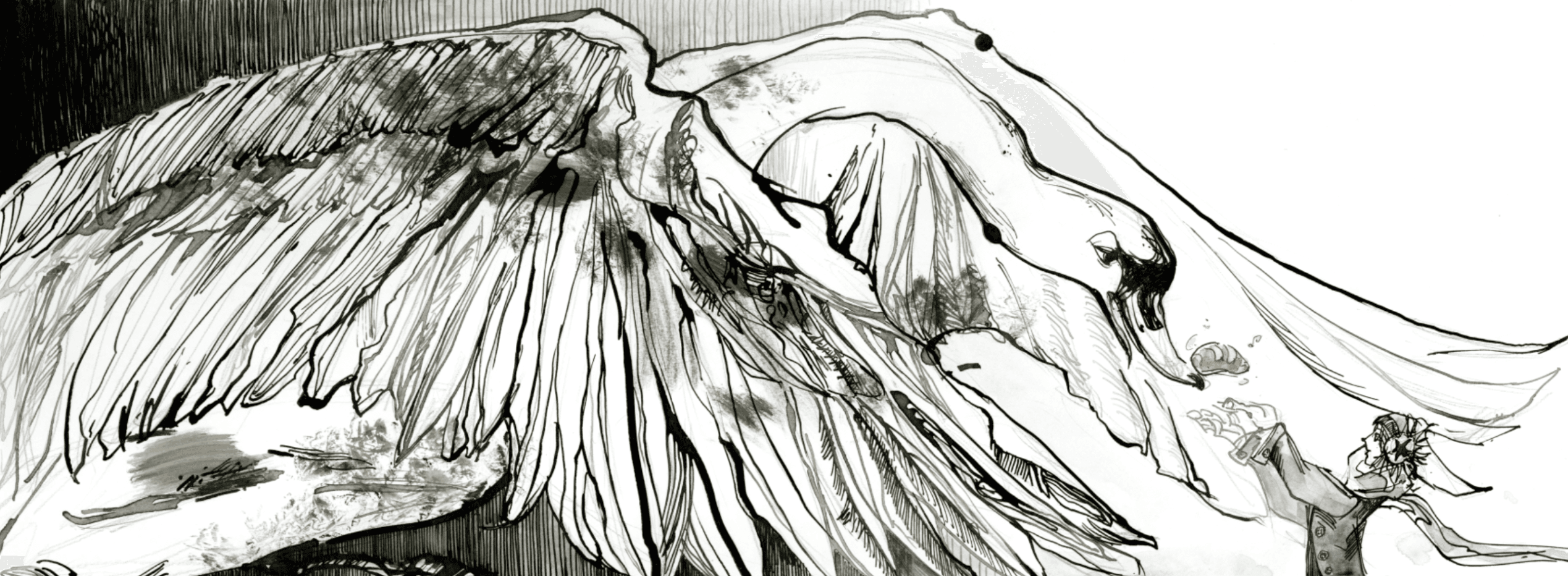 Swan Lake, portfolio item 4
