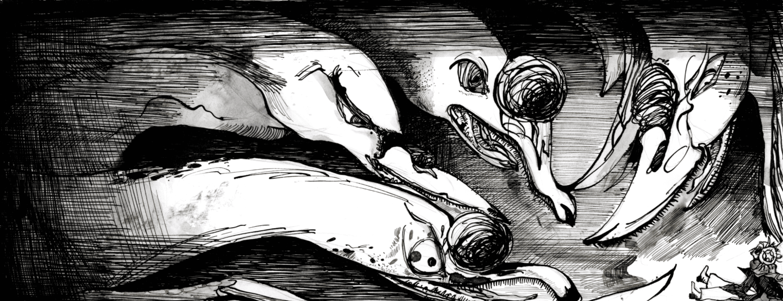 Swan Lake, portfolio item 5
