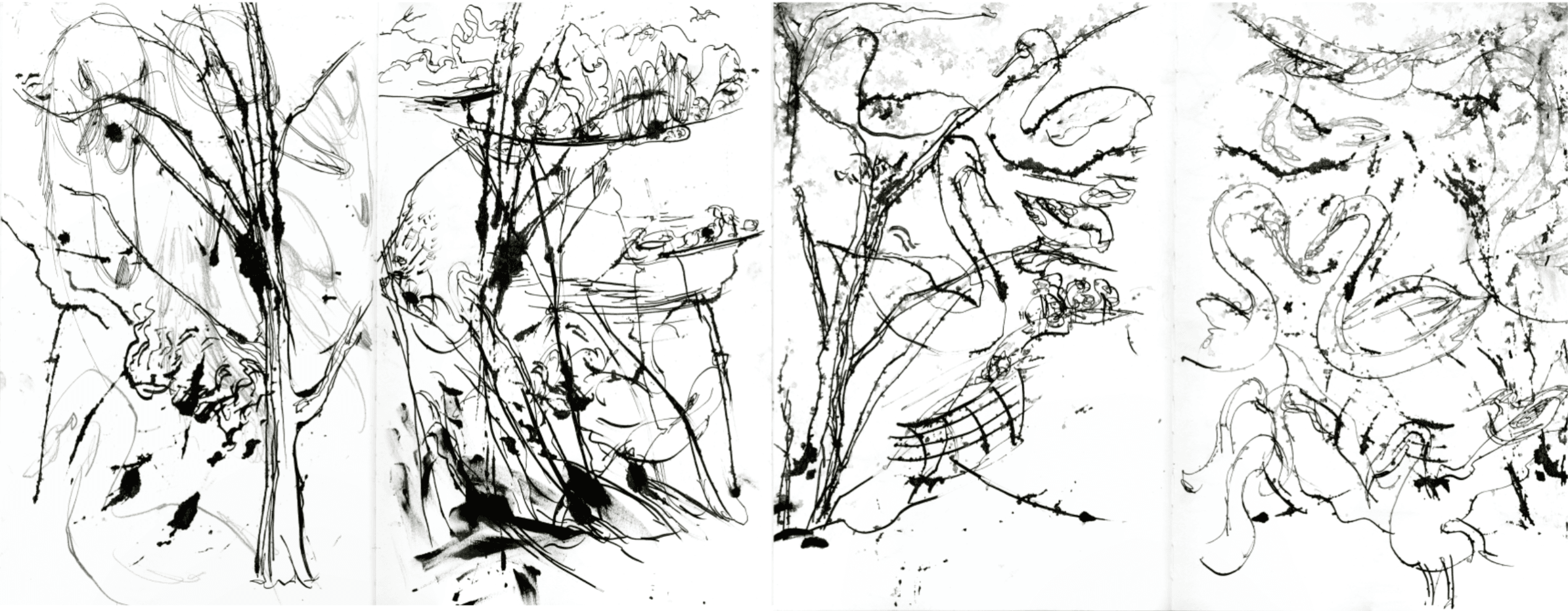 Swan Lake, portfolio item 9