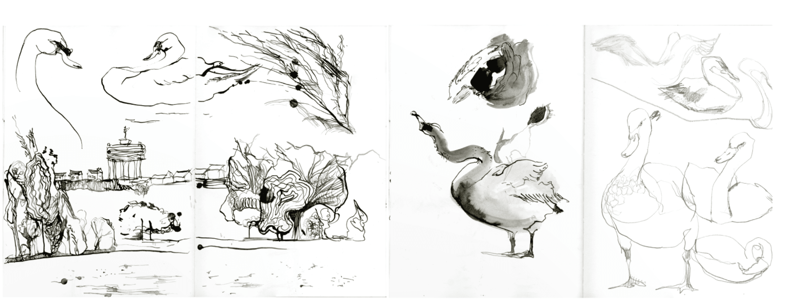 Swan Lake, portfolio item 10