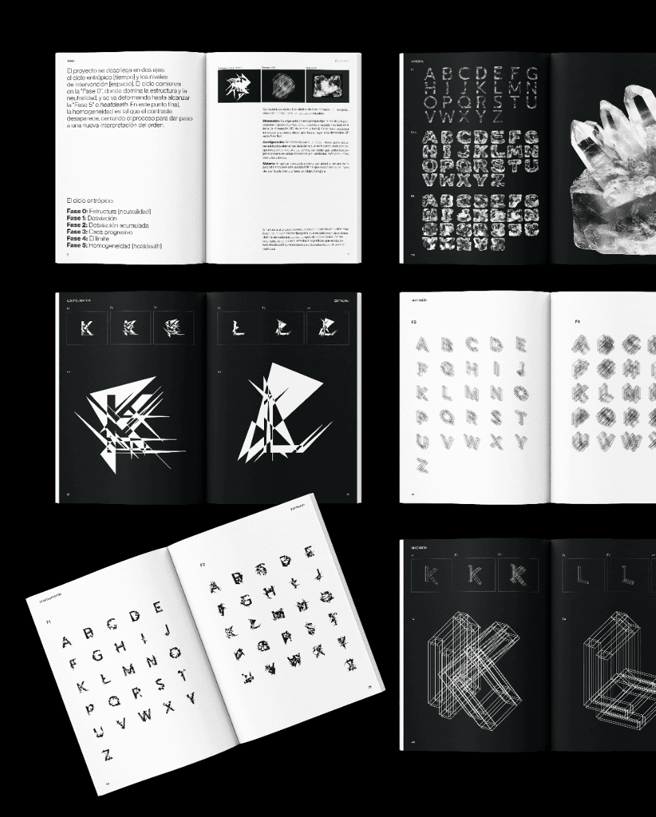 Entropic: between orden&caos, portfolio item 4