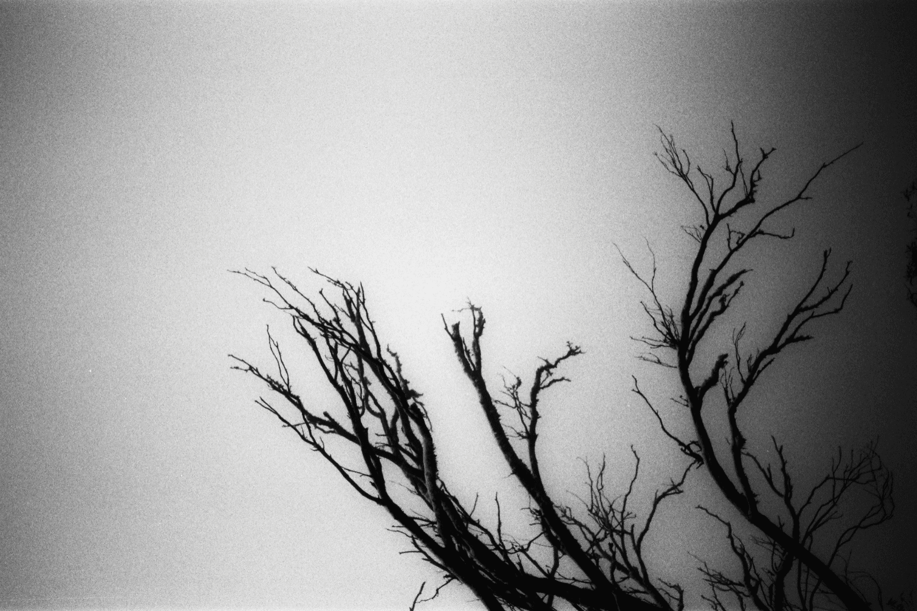 Sense, portfolio item 16