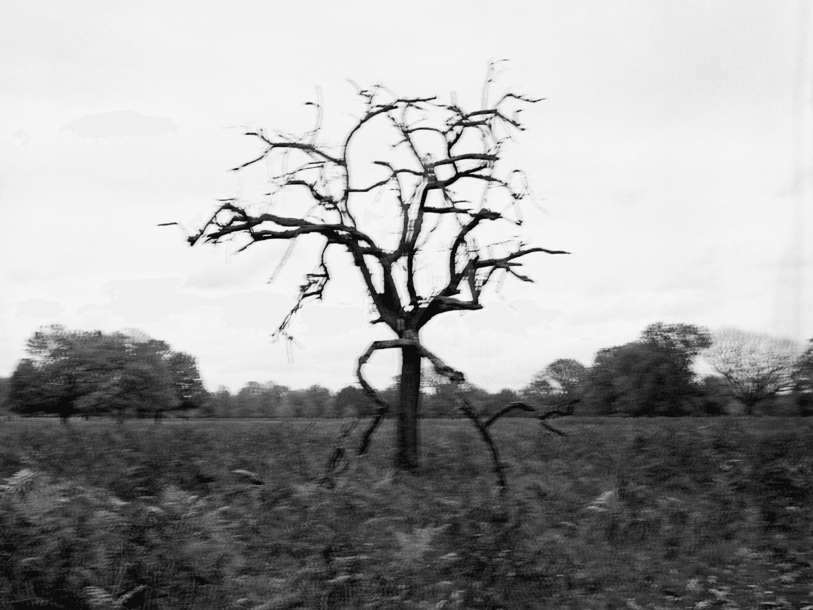 I DON'T RECALL THE MUSIC, portfolio item 45