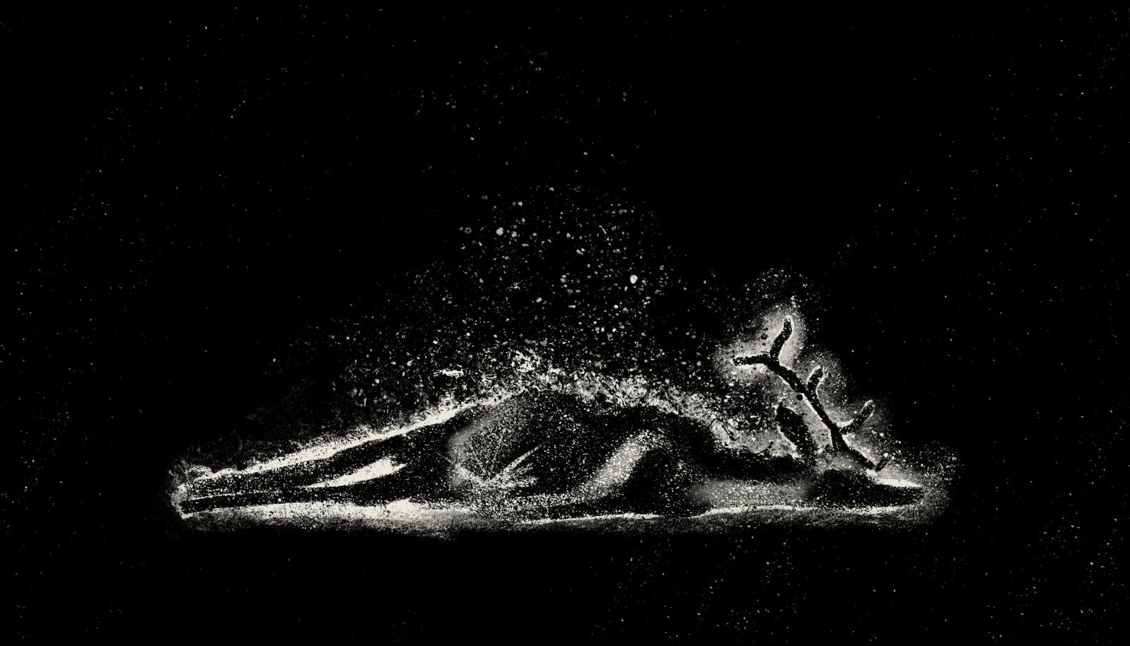 The ram the serpent the birth, portfolio item 6