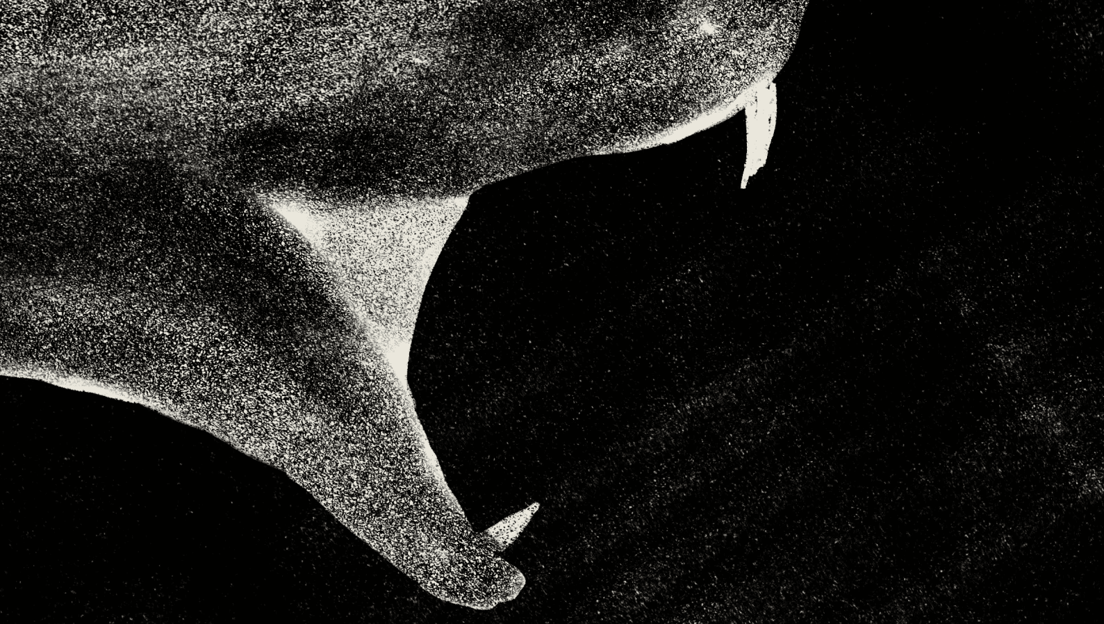The ram the serpent the birth, portfolio item 8