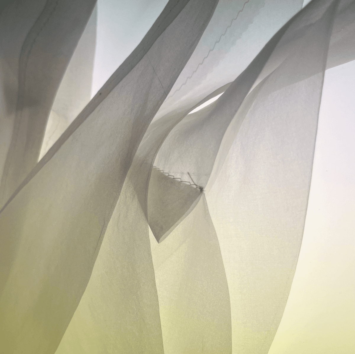 Restraint as authorship, portfolio item 16