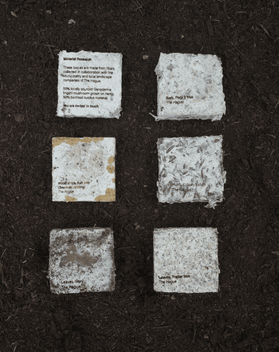 Rerooting Forward: Designing for Death Beyond Fast Furniture, portfolio item 11