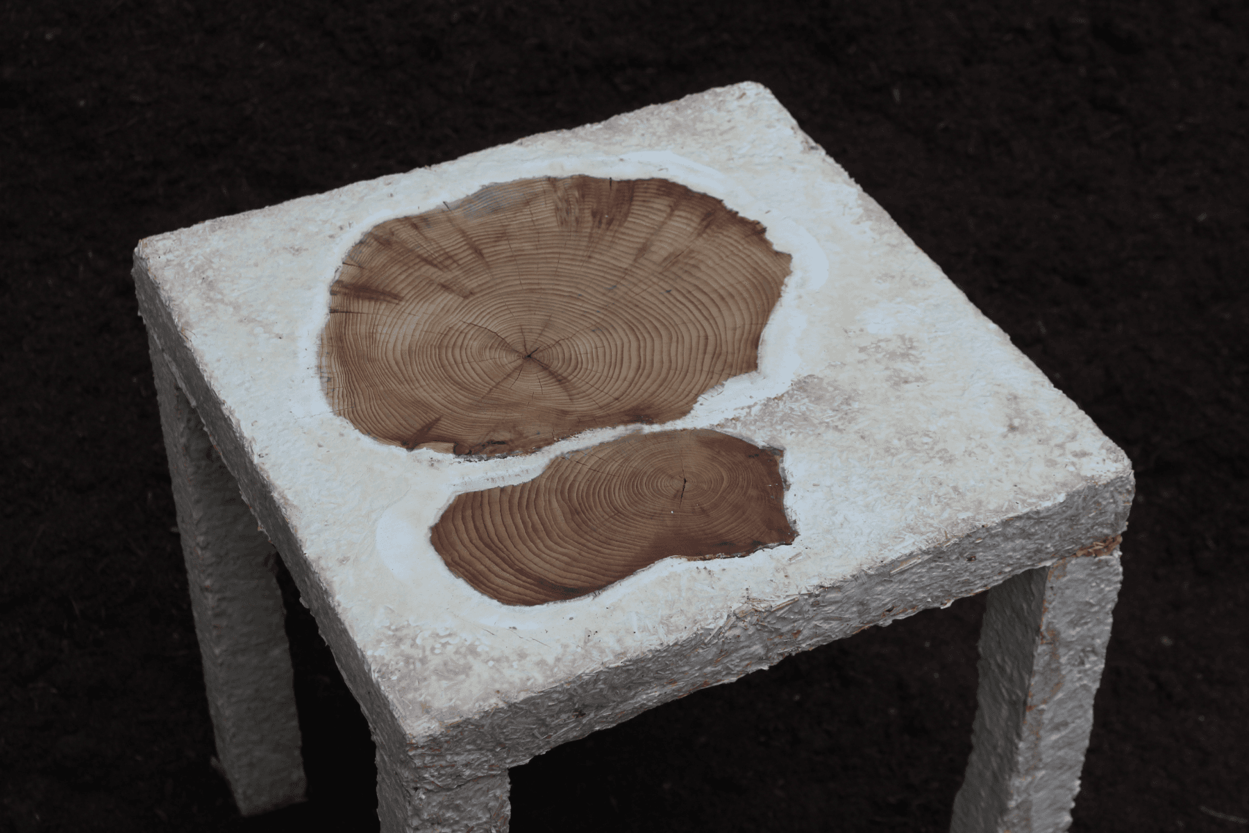 Rerooting Forward: Designing for Death Beyond Fast Furniture, portfolio item 12