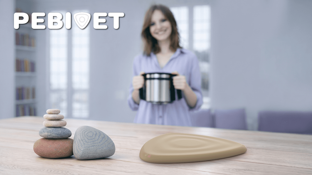Pebivet, portfolio item 1