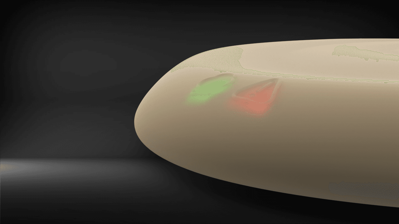 Pebivet, portfolio item 10