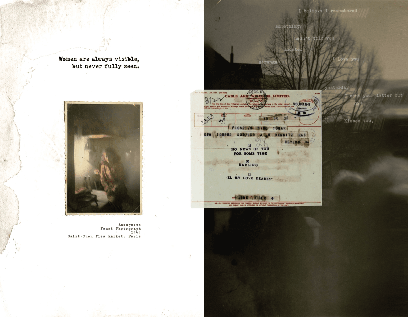 What IS MISSING REMAINS, portfolio item 1