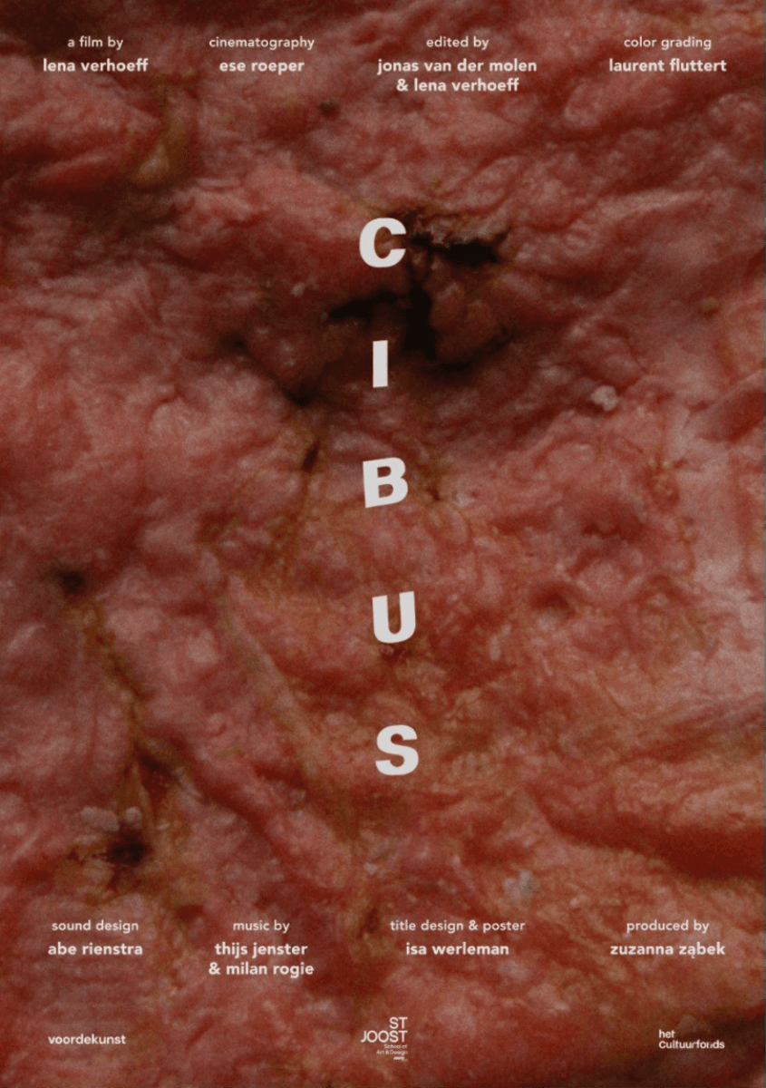 Cibus, portfolio item 1