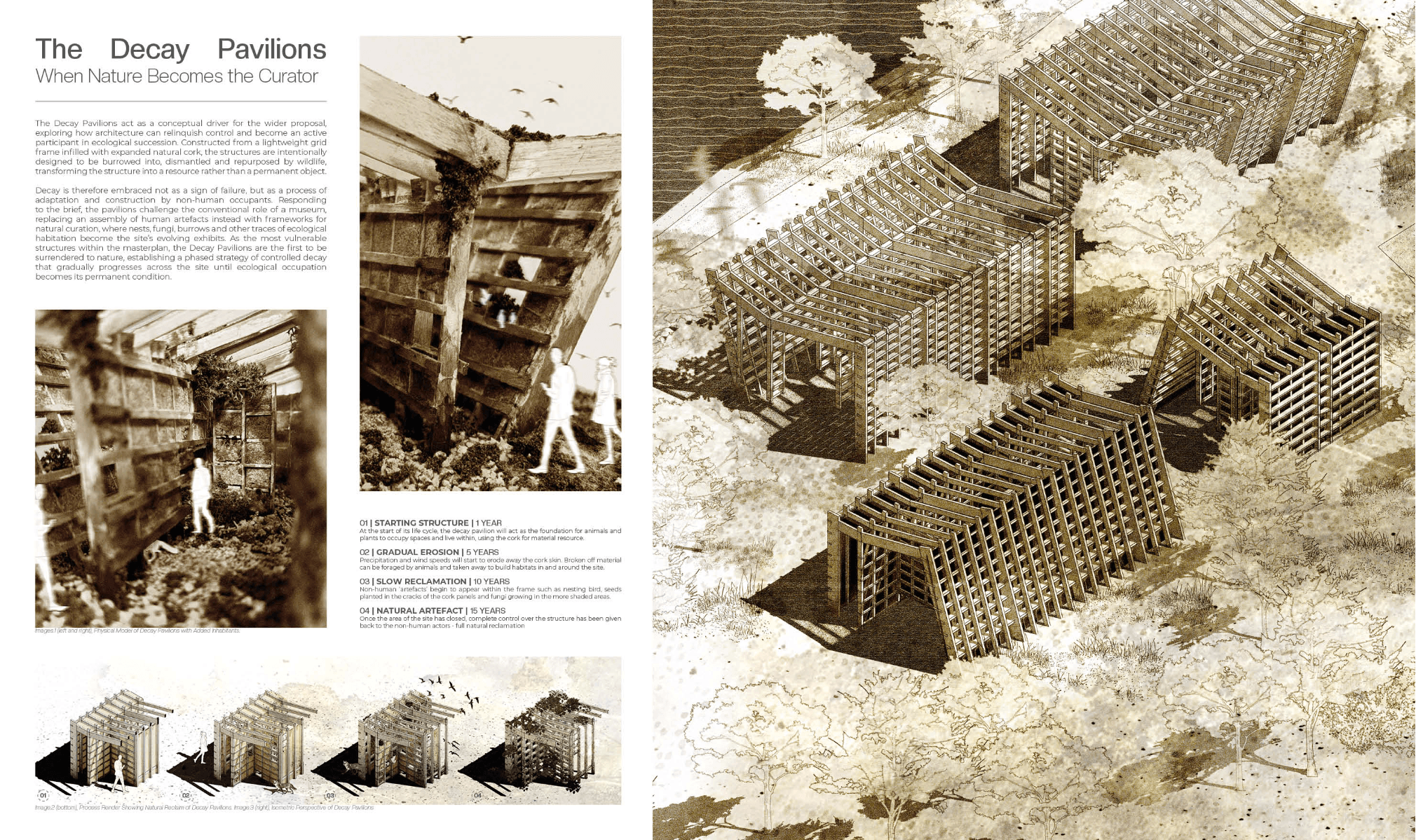 The Museum of decay, portfolio item 3