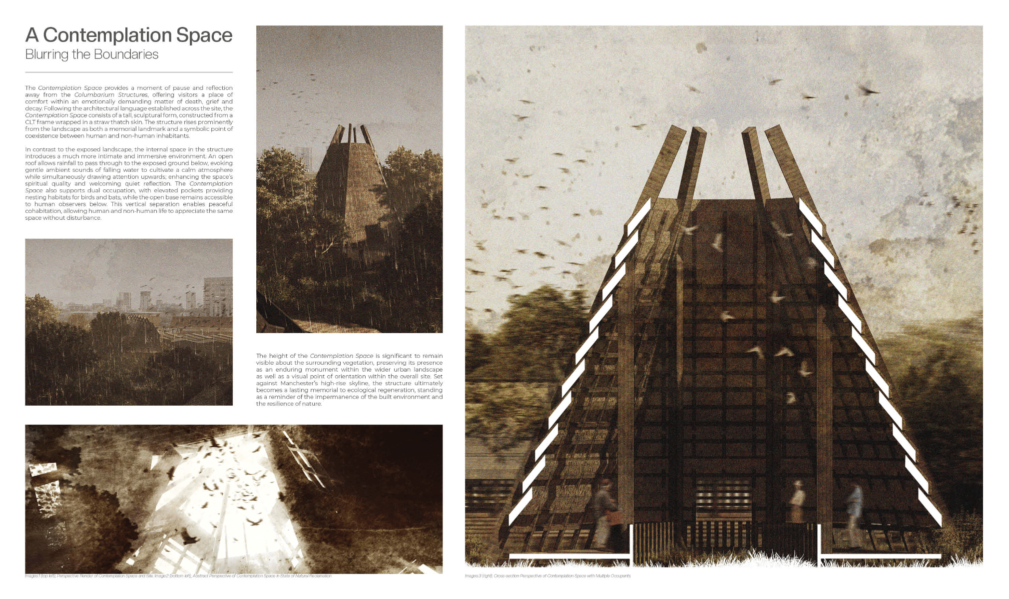 The Museum of decay, portfolio item 6