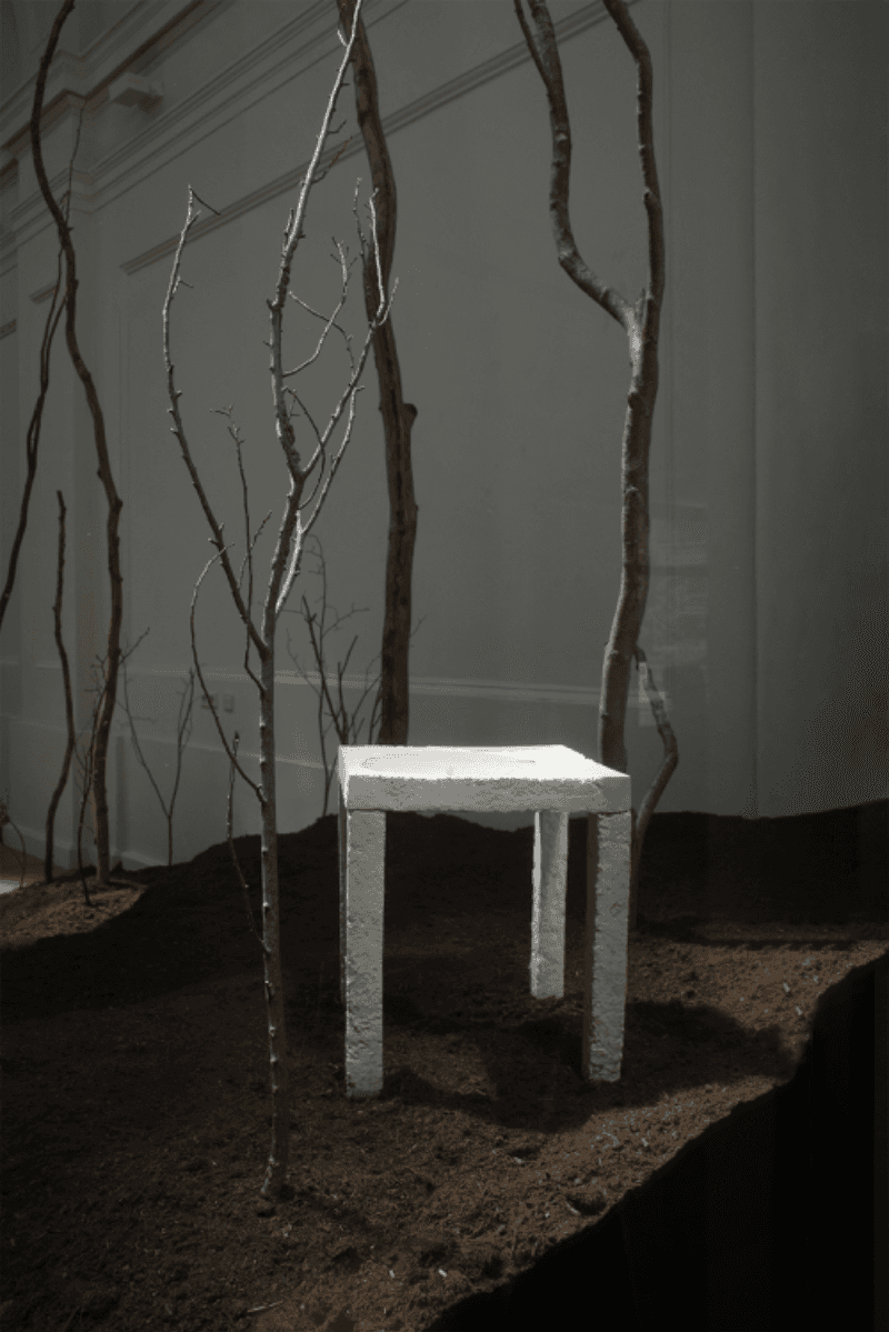Rerooting Forward: Designing for Death Beyond Fast Furniture, portfolio item 5