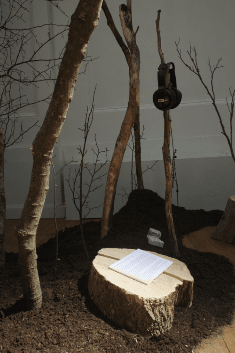 Rerooting Forward: Designing for Death Beyond Fast Furniture, portfolio item 4