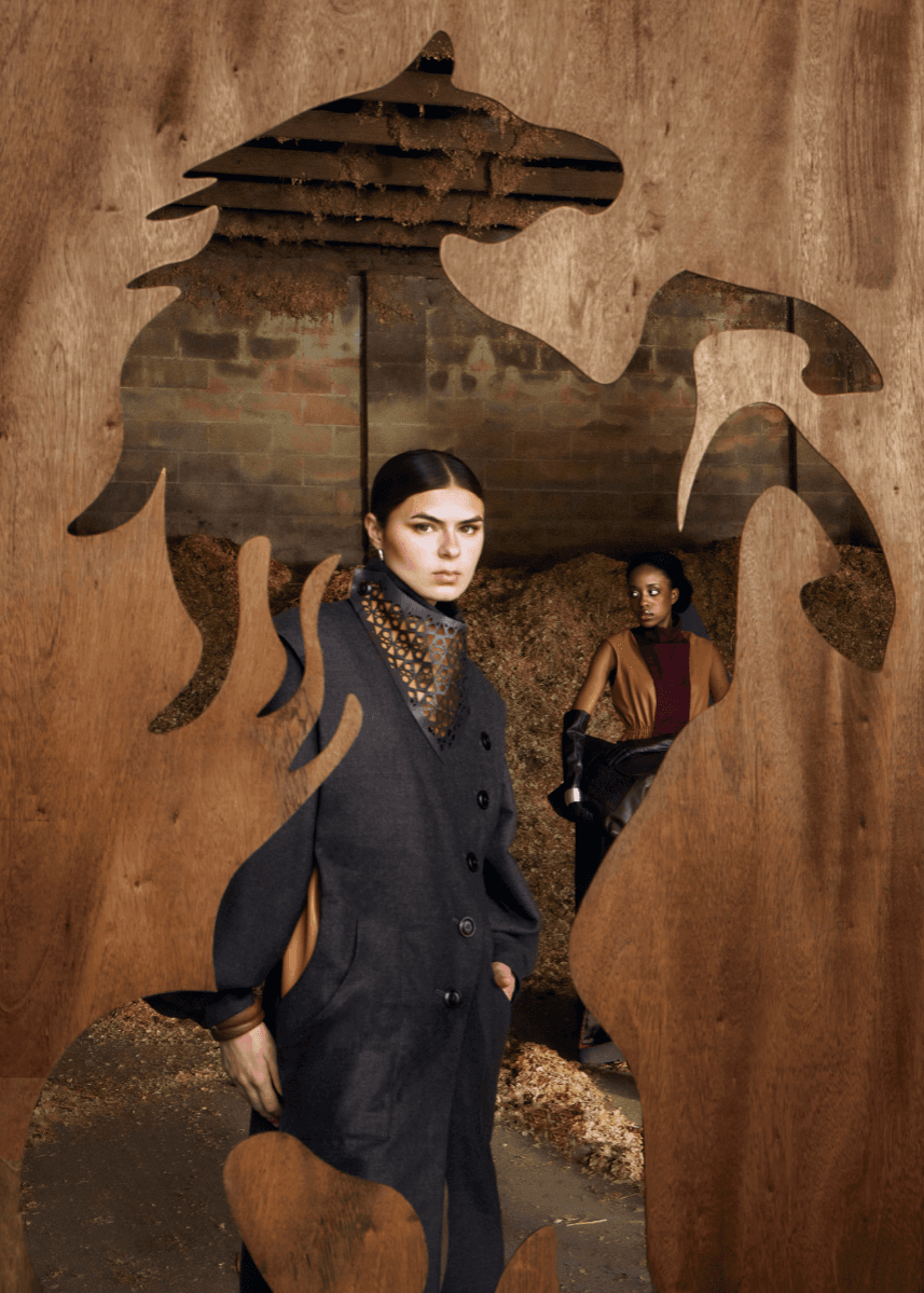 Tilting at Windmills, portfolio item 17