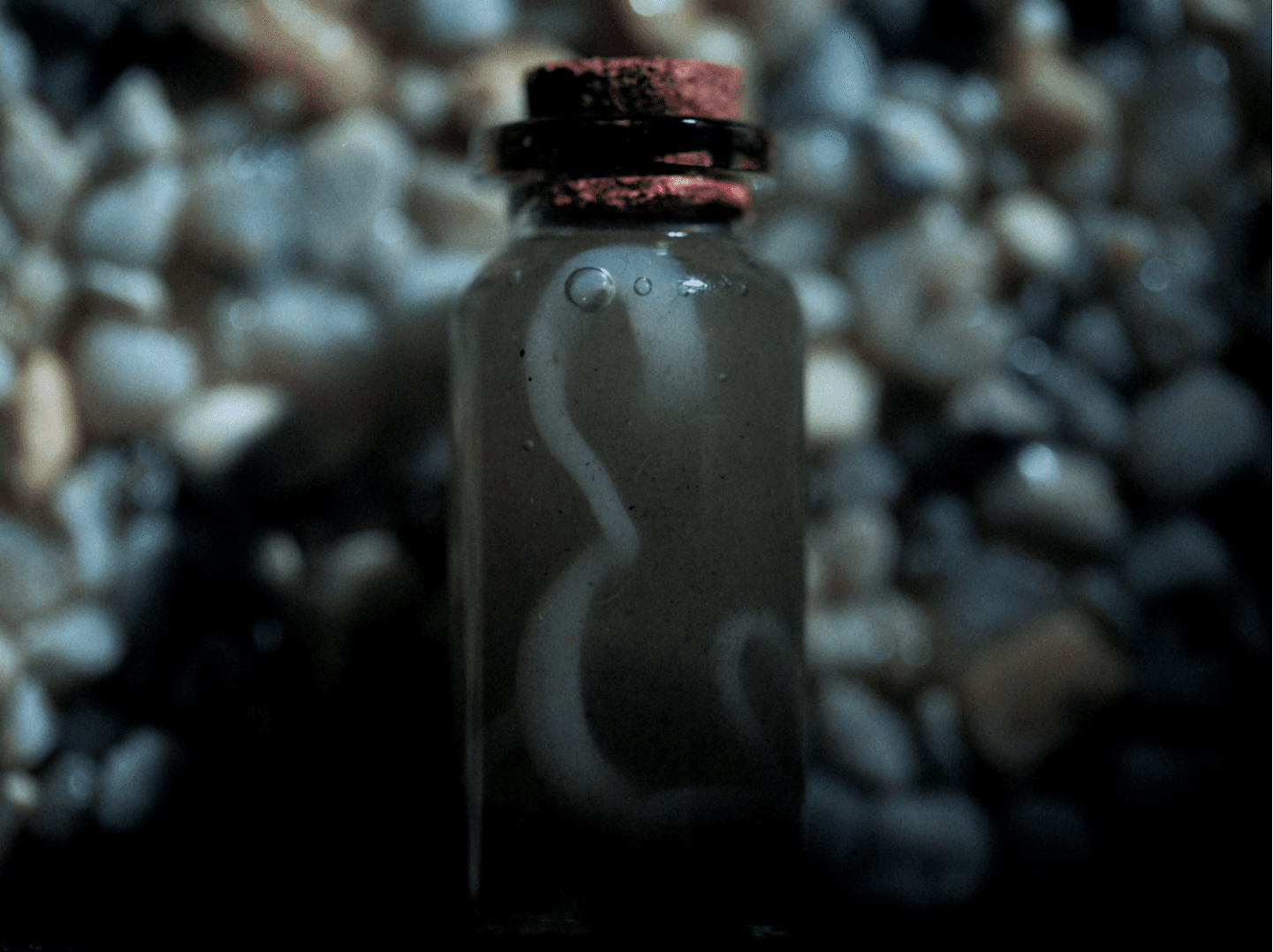 Her Worm, portfolio item 4