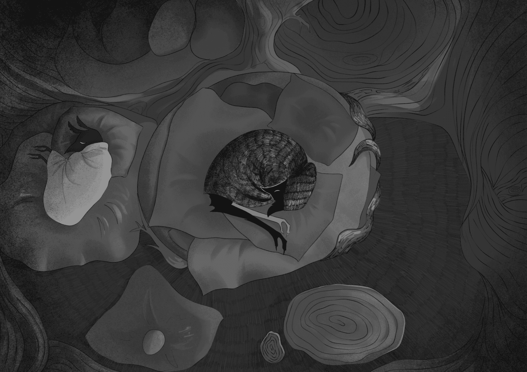 Forget Me Not, portfolio item 6