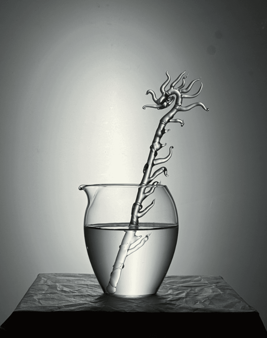 The Space Breathes Back, portfolio item 7