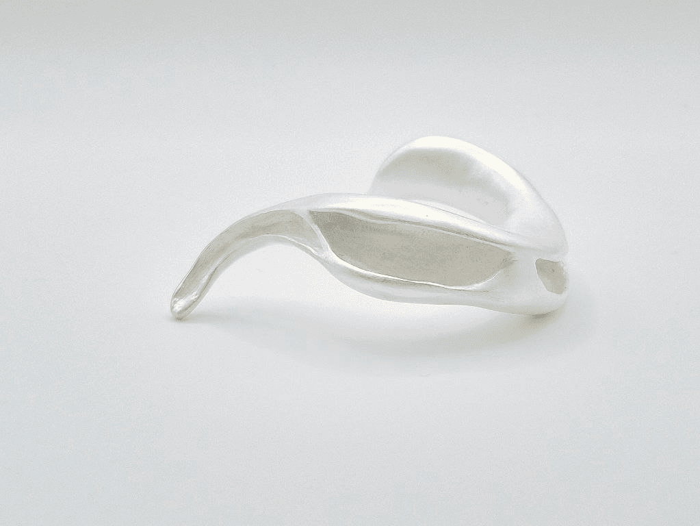 Anitya, portfolio item 3