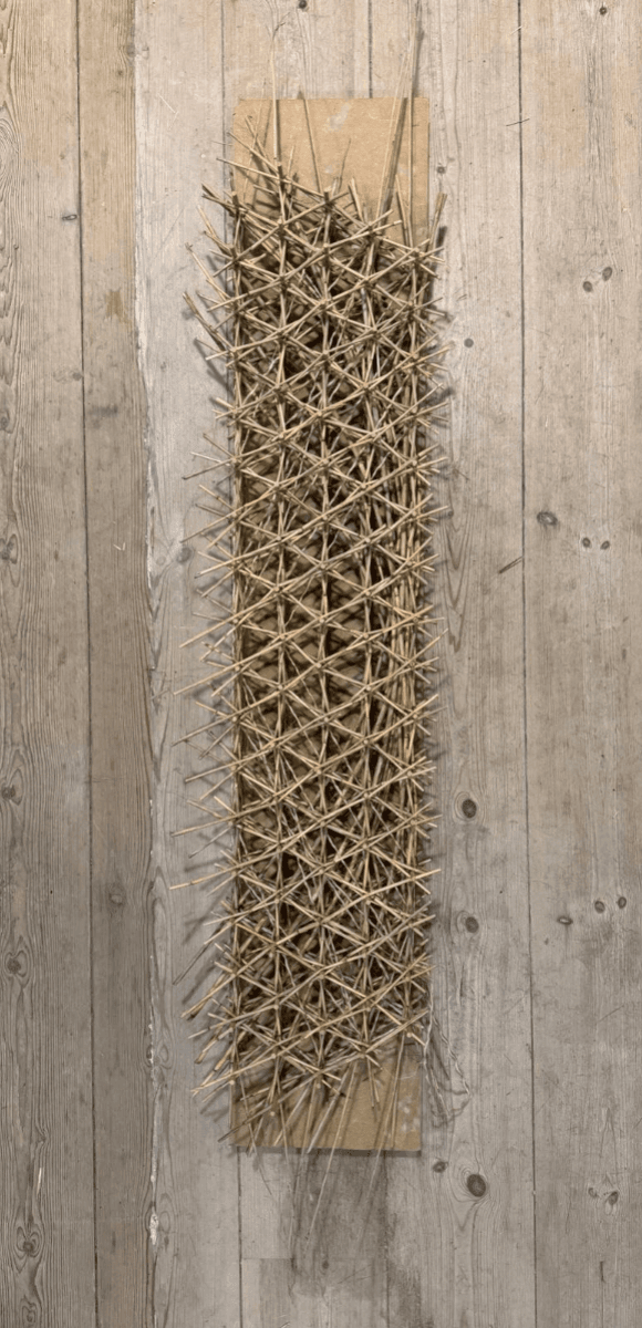 Woven Biogenic Beam, portfolio item 15