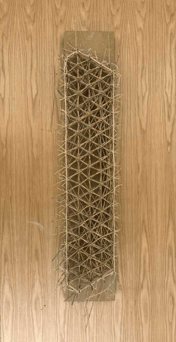 Woven Biogenic Beam, portfolio item 16