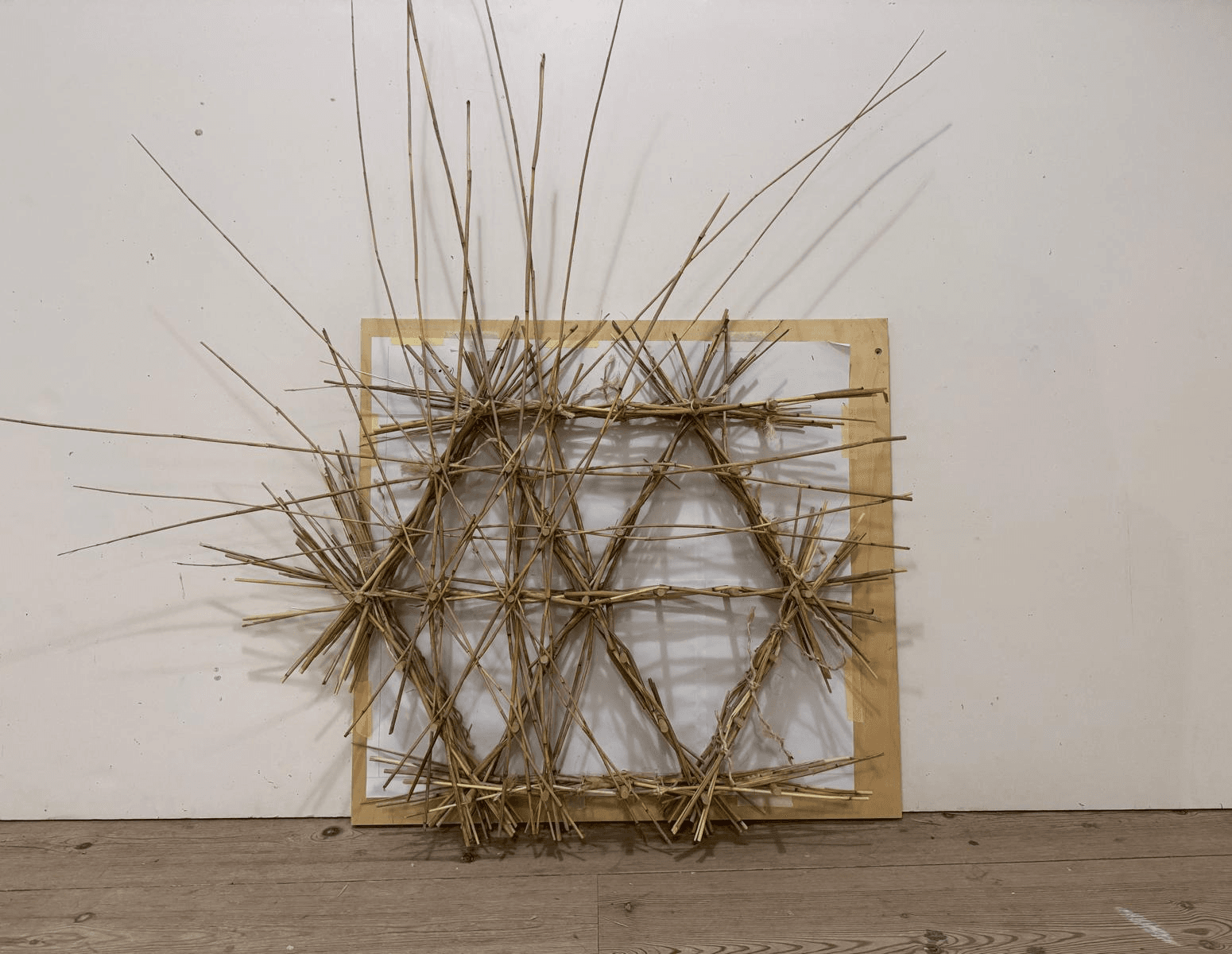 Woven Biogenic Beam, portfolio item 19