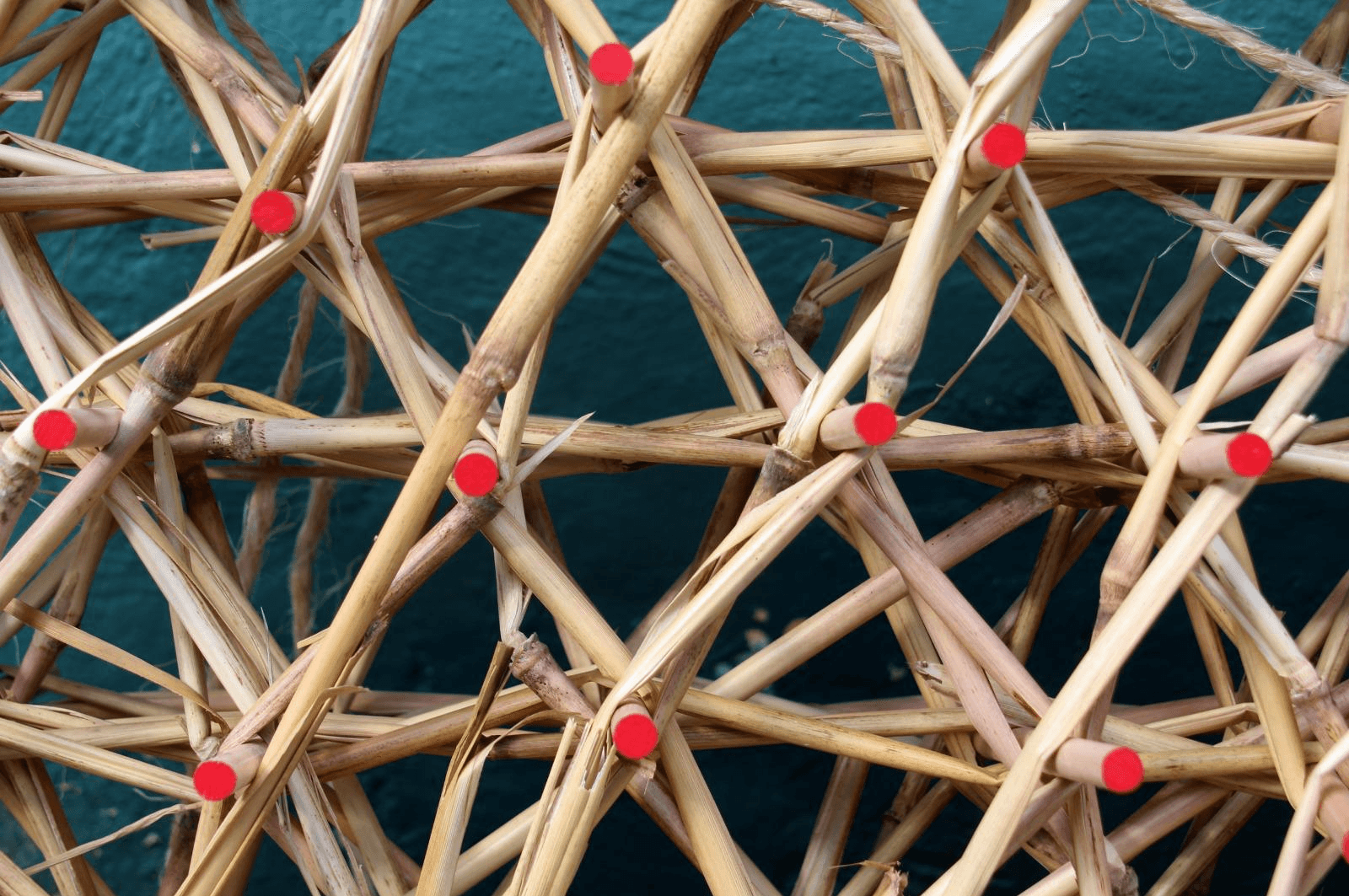 Woven Biogenic Beam, portfolio item 4